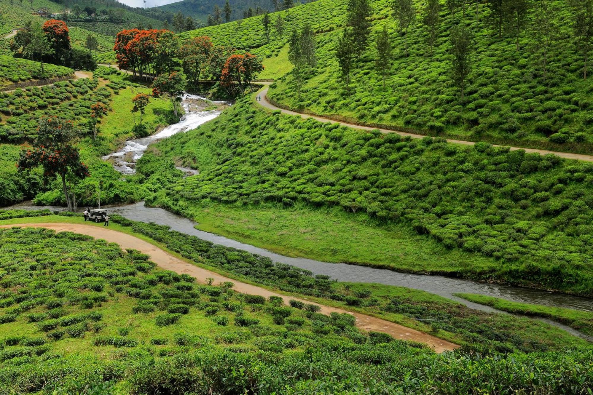 Spicegreen Homestay,Thekkady Esterno foto