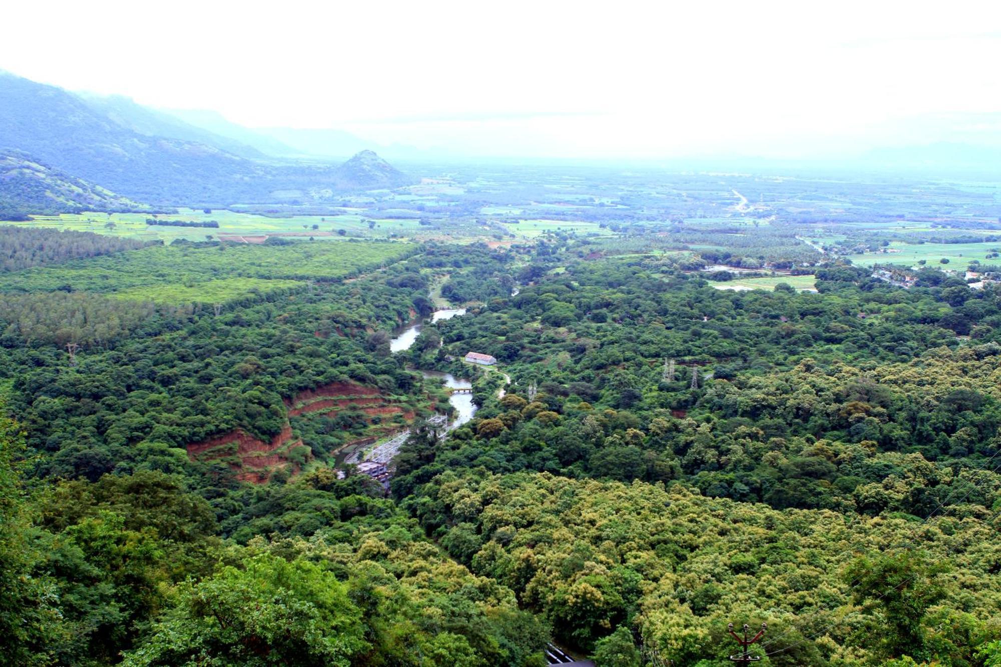 Spicegreen Homestay,Thekkady Esterno foto