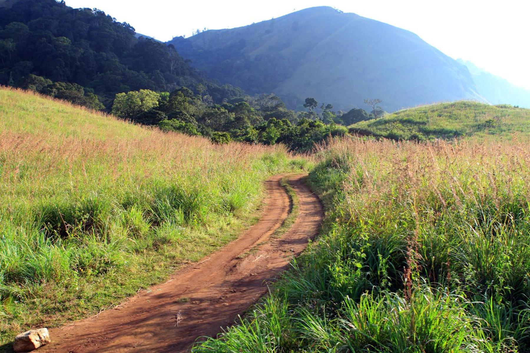 Spicegreen Homestay,Thekkady Esterno foto