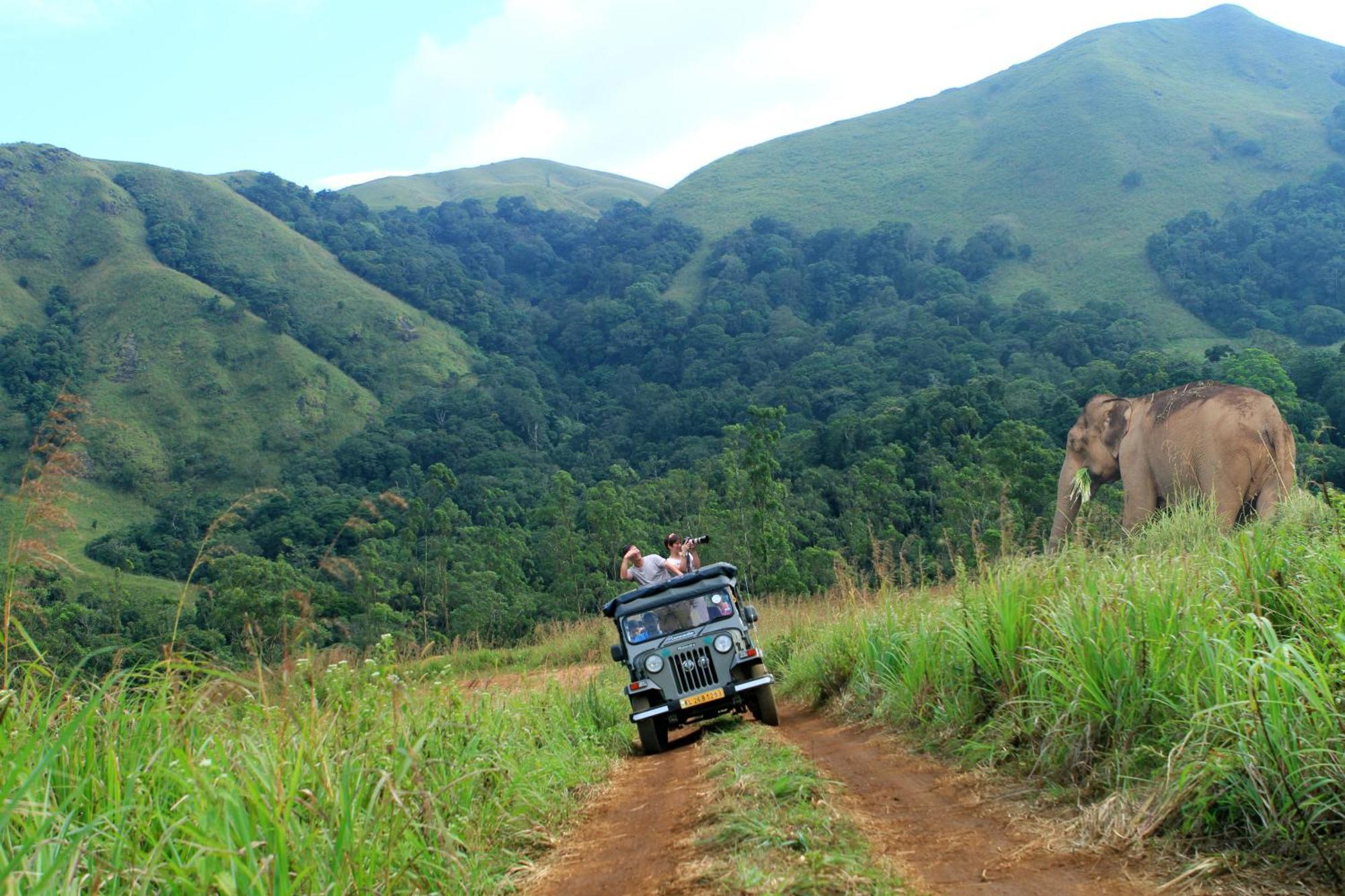 Spicegreen Homestay,Thekkady Esterno foto
